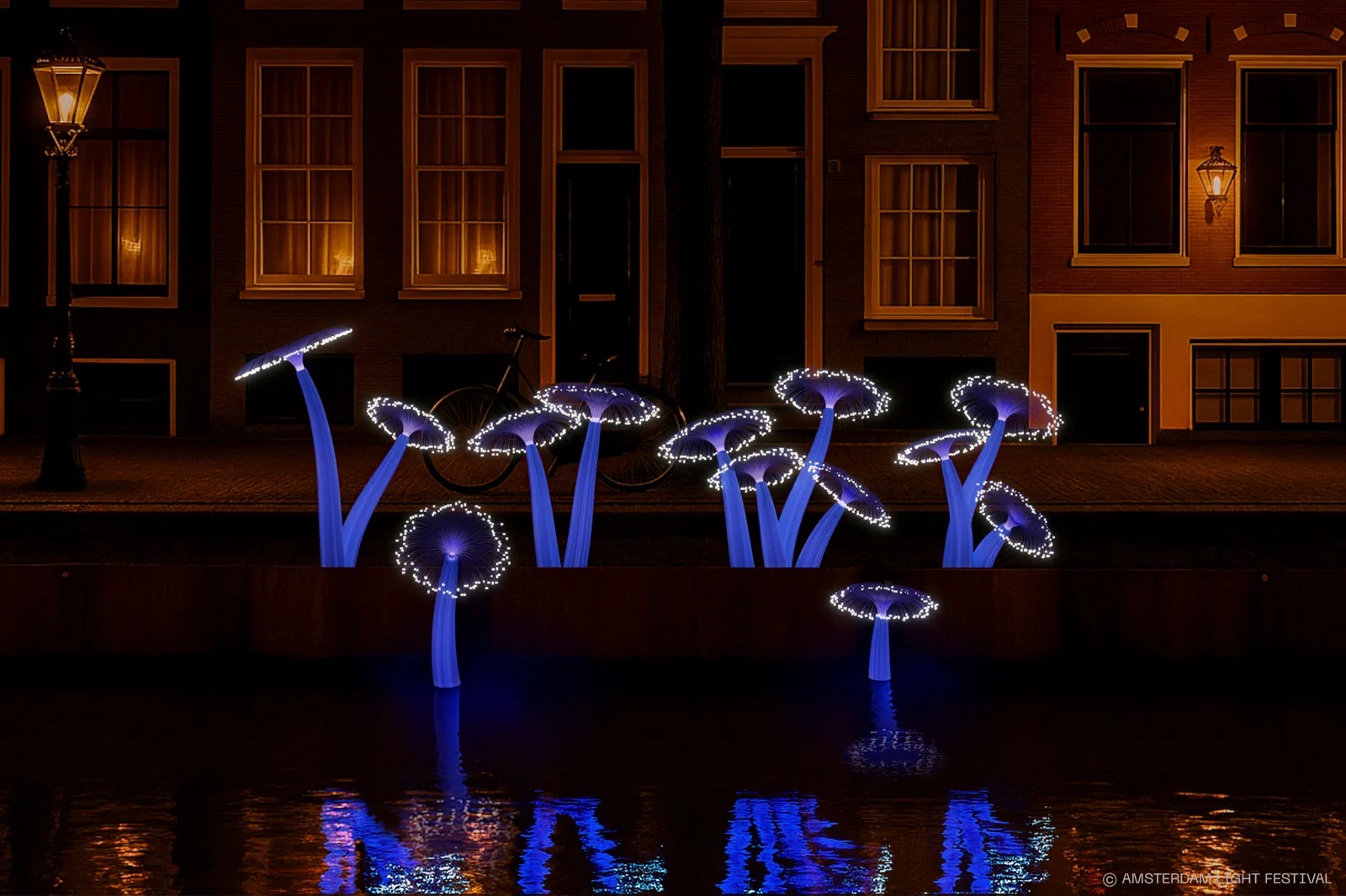 Coral Luminance – Henry Hu, Amsterdam Light Festival Edition 14