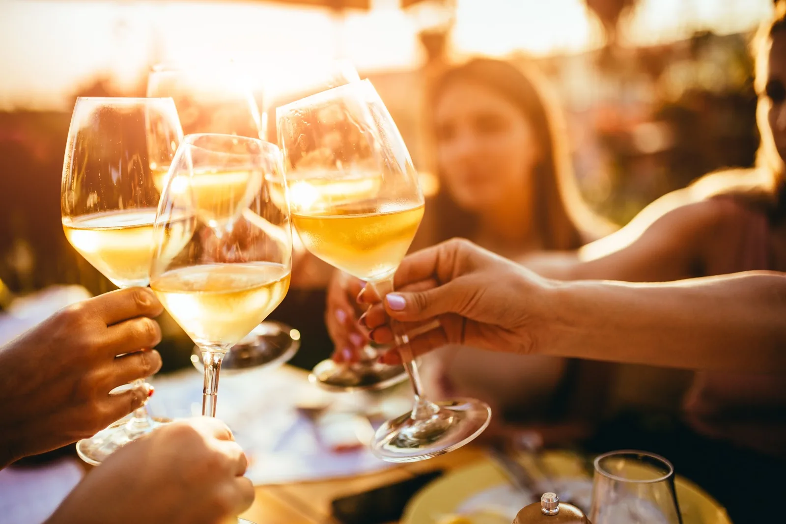 Wine tasting on a boat in Amsterdam